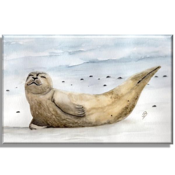 Leinwand 30 x 20 cm Keilrahmen Canvas-Leinen Seehund in der Sonne - DK51
